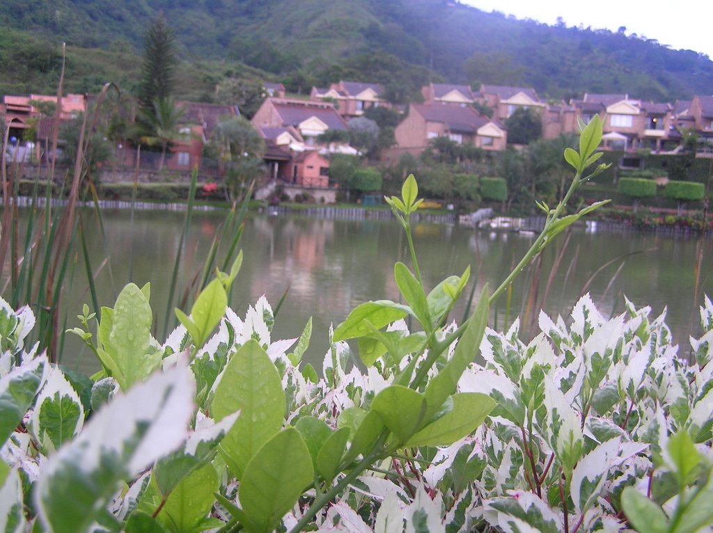 Lagos del cacique