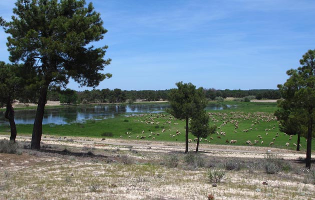 Lagunas de cantalejo