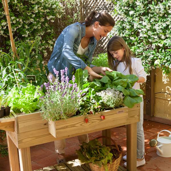 Actividades para trabajar las plantas en infantil