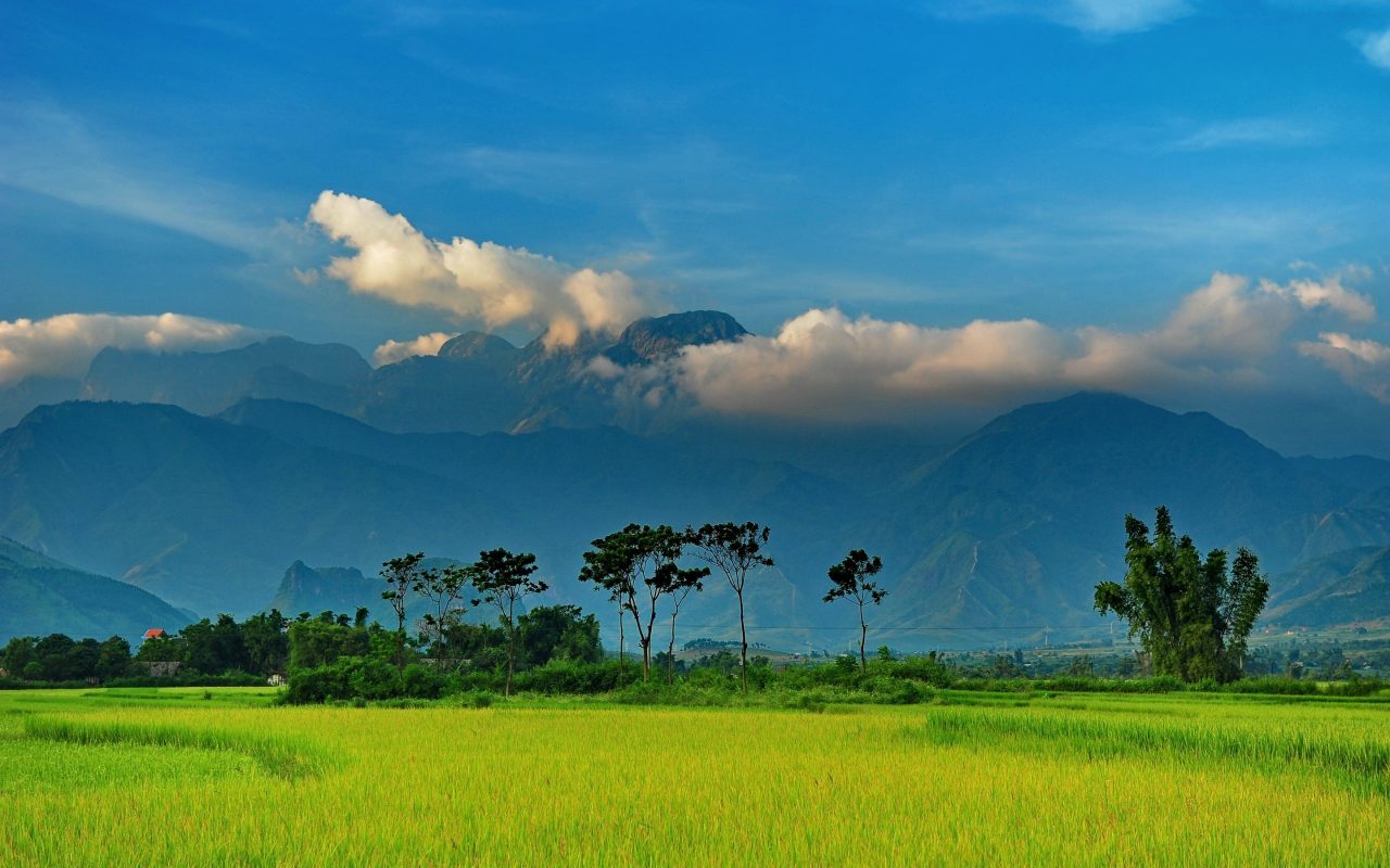 La cordillera descargar