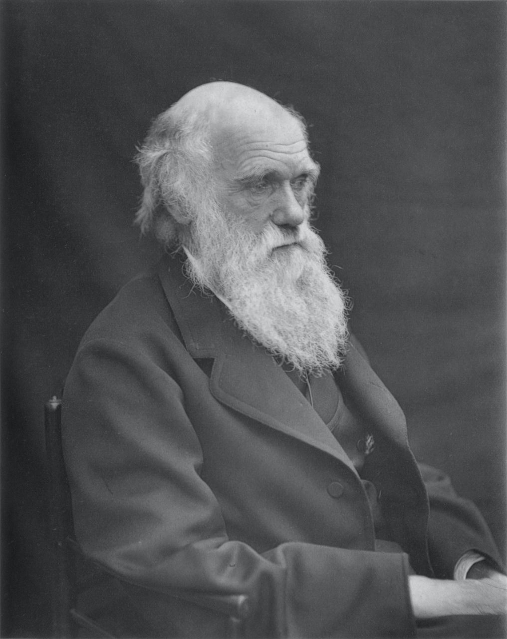 La teoria de charles darwin