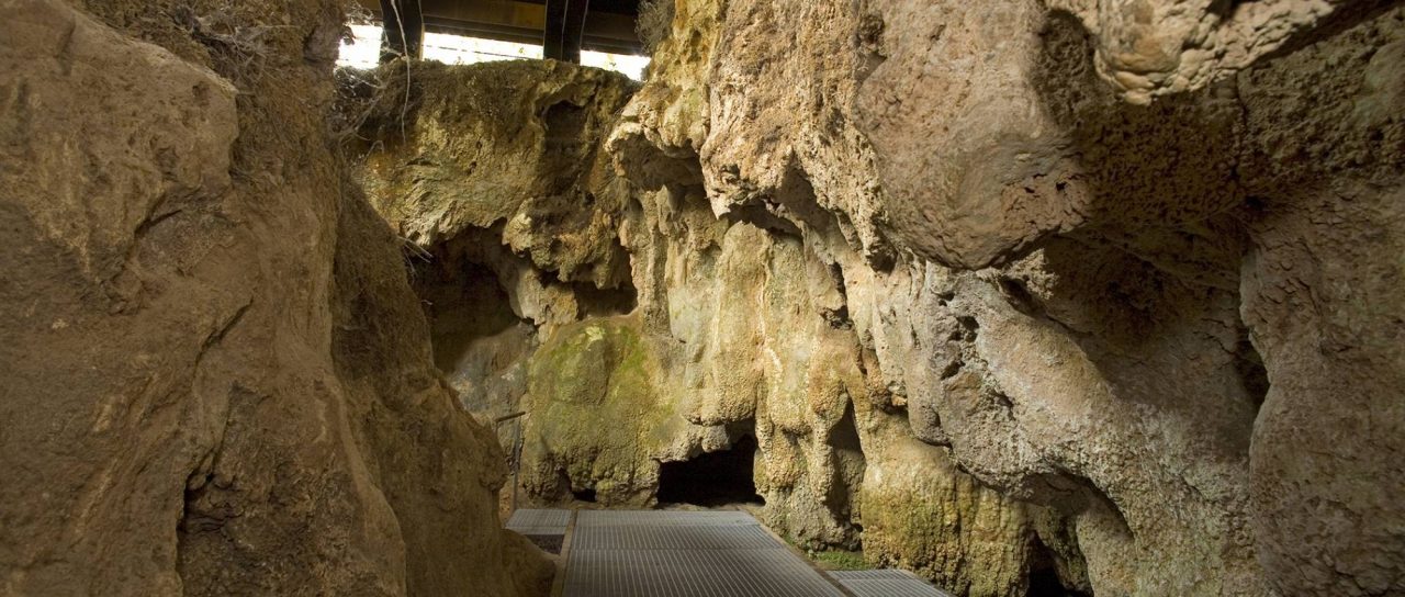 Coves de catalunya