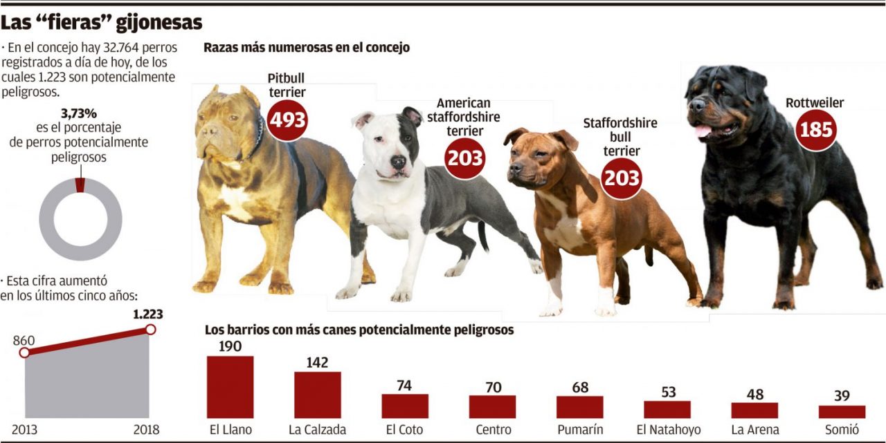 Perros ppp en españa