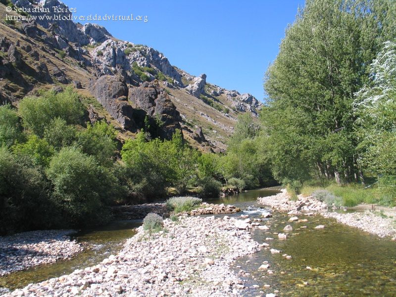 Villafeliz de babia